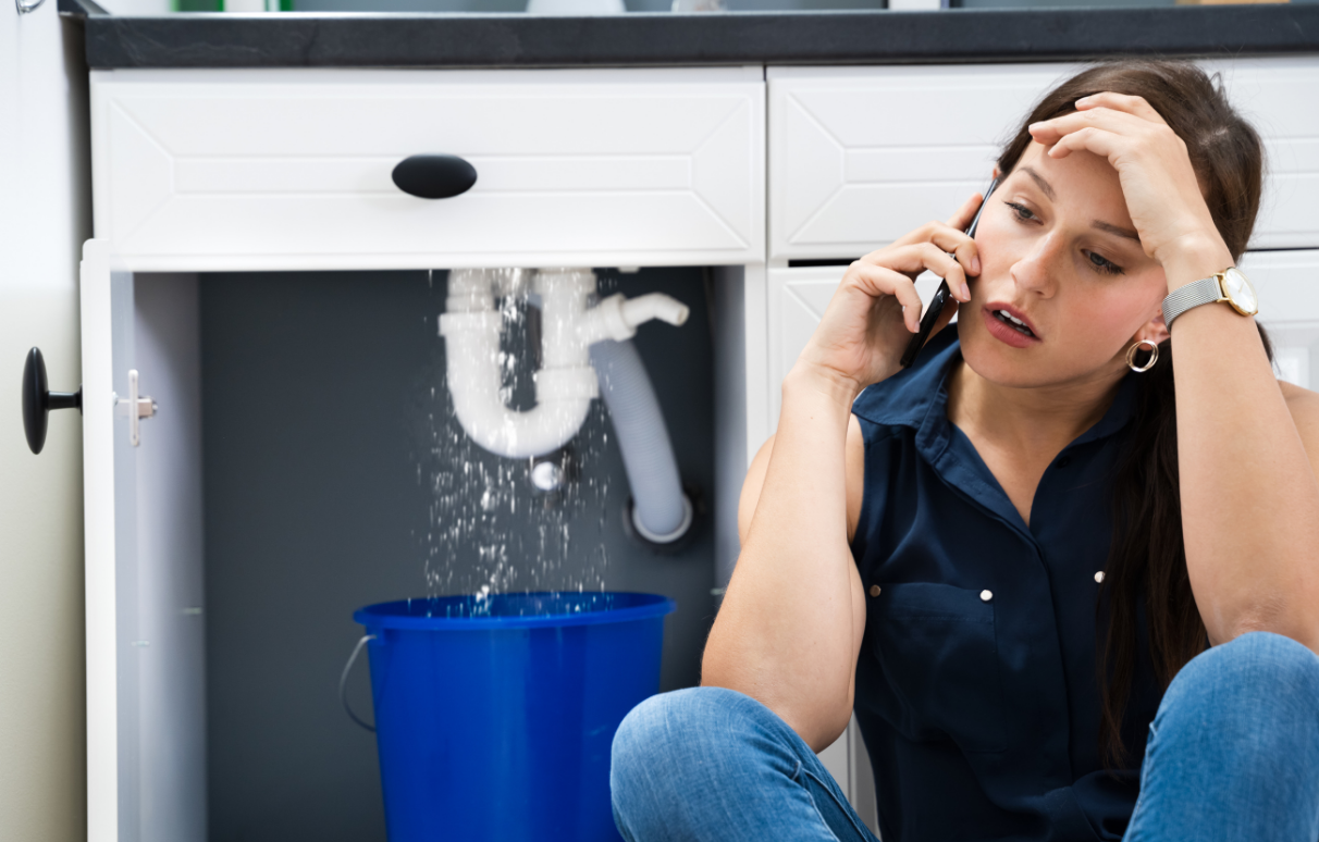 Priority Plumbing Services